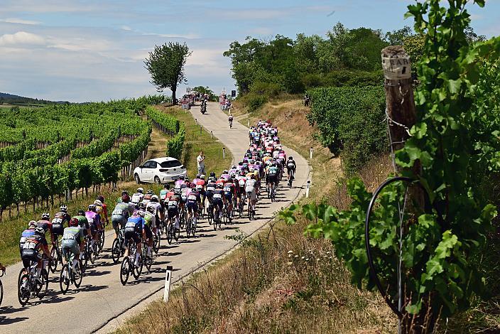 5. Etappe von Langenlois nach Wien, 109km, Tour of Austria
