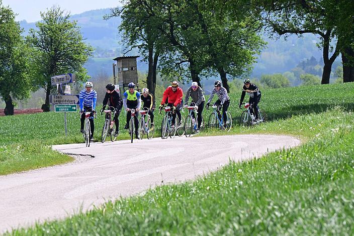 Rennrad, Frühling, Kirschblüten Radklassik, Oberösterreich, 