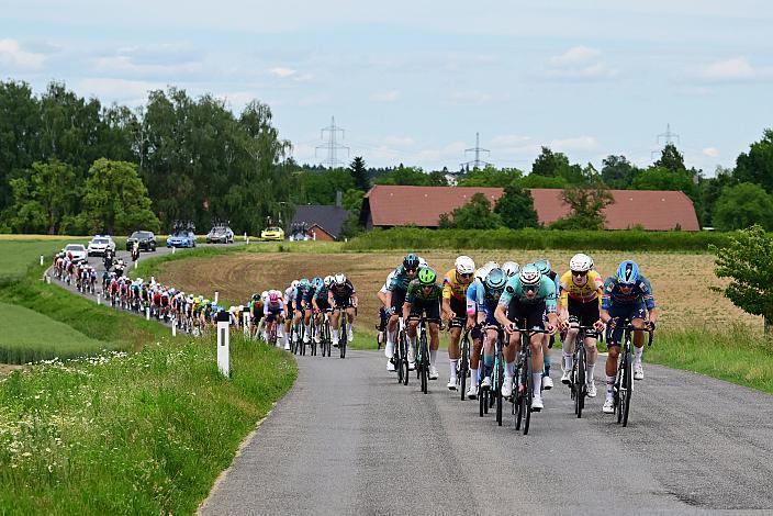 Das Peloton unterwegs im Traunviertel  3. Etappe Asten - Bad Schallerbach, Oberösterreich Rundfahrt