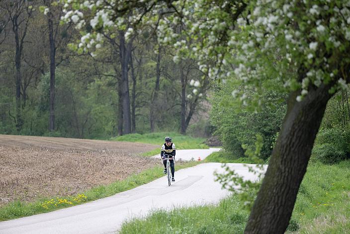 7. Kirschblüten Radklassik, Rad Klassik, Oldtimer, Vintage, Stahlrad, Radsport, Eferding, Oberösterreich