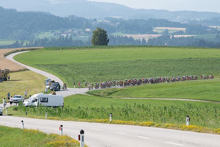 Das Feld bei der Bergwertung Haselbach, 46. Int. Keine Sorgen,  Junioren Rundfahrt UCI Kat. MJ 2.1, 2. Etappe Rohrbach - Rohrbach