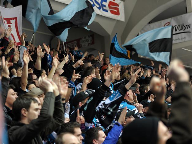 Die Linzer Fans feiern (Liwest Black Wings Linz) und (EC KAC), EHC Liwest Black Wings Linz vs EC KAC, Play-Offs, Semifinale 