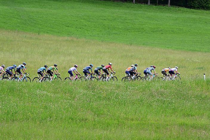 die Ausreisser mit Viktor Soenens (BEL, Soudal - Quickstep Devo Team), Richard Riska (SVK, Hrinkow Advarics), Emanuel Zangerle (AUT, Team Vorarlberg), Milan Kadlec (CZE, Team Elkov Crypto4me), Otto van Zanden (NED, Azerion  - Villa Valkenburg) 4. Etappe Aigen - Schlägl - Aigen - Schlägl, Oberösterreich Rundfahrt