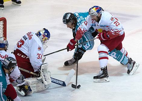 Brian Lebler (EHC Liwest Black Wings Linz) vor Luka Gracnar (EC Red Bull Salzburg)  EHC Liwest Black Wings Linz vs EC Red Bulls Salzburg