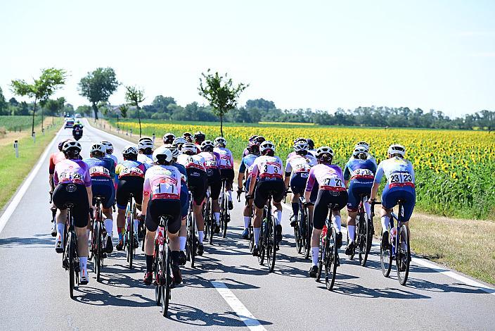ÖM Staatsmeisterschaft, Strassenrennen,, Illmitz, Burgenland