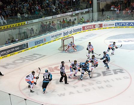 Bully in der Linzer Eushalle, EHC Liwest Black Wings Linz vs Graz 99ers