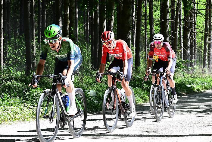 Riccardo Zoidl (AUT, Hrinkow Advarics) Herren Elite, U23, Road Cycling League Austria