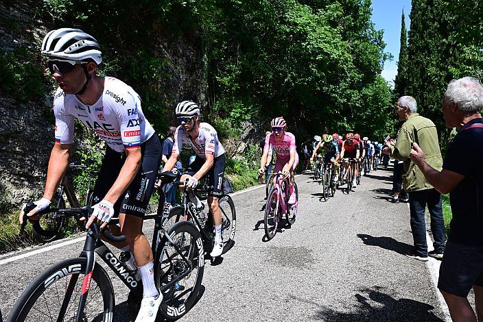 Felix Grossschartner (AUT, UAE Team Emirates), Tadej Pogacar (SLO, UAE Team Emirates) im Rosa Terikot des Gesamtführenden des 107. Giro d Italia, Stage 20, Alpago - Bassano del Grappa, km 184