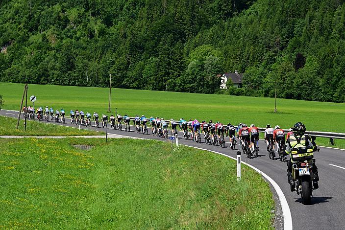 Das Peloton unterwegs in der Region Ybbstal, bei Hollenstein an der Ybbs, Vier Länder Meisterschaft U23,  Austria
