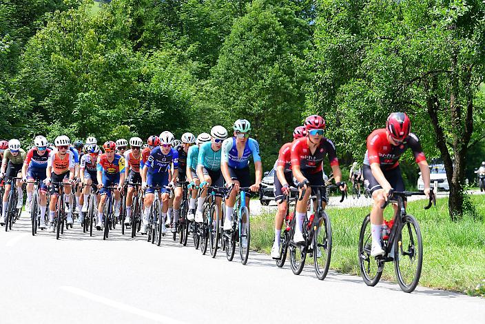 Das Peloton unterwegs in der Region Ybbstal, bei Hollenstein an der Ybbs, Drei Länder Meisterschaft U23,  Austria