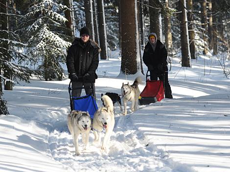 Justin Keller und Marcel Wolf mit ihrem Hundegespann, EHC Liwest Black Wings Linz zu Gast auf der Mountain Wulf Farm