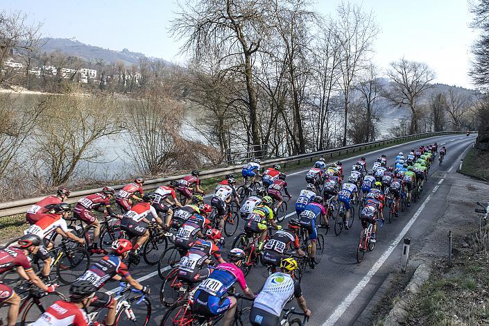 Das Feld der Elite im Donautal 59. Rad SaisonerÃ¶ffnungsrennen Leonding, Rad Bundesliga 2019