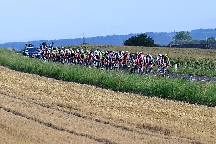 Das Feld bei Marchtrenk. 1. Etappe Marchtrenk  - Marchtrenk, Int. Oberösterreichische Versicherung OÖ Junioren Oberösterreich Rundfahrt