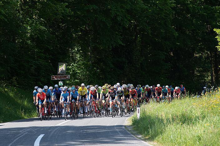 Das Peleton bei Guglwald, 2. Etappe Wels - Bad Leonfelden, Int. Raiffeisen Oberösterreich Rundfahrt UCI Kat. 2.2