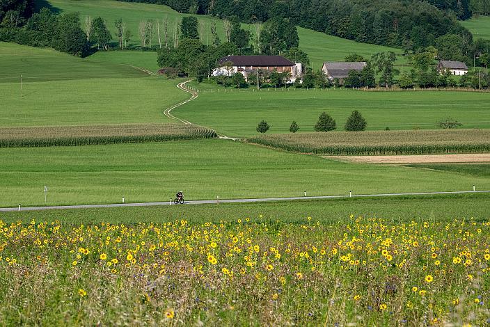 Verena Walter Race Around Austria Radsport,