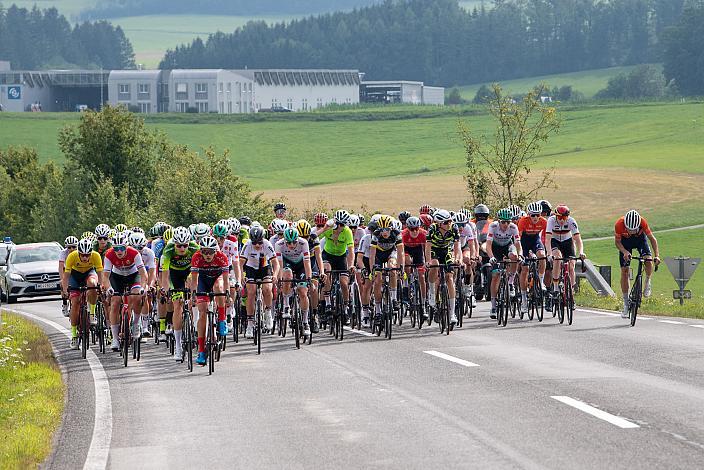 Das Feld bei Arnreit 46. Int. Keine Sorgen,  Junioren Rundfahrt UCI Kat. MJ 2.1, 2. Etappe Rohrbach - Rohrbach