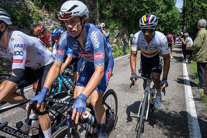 Tobias Bayer (AUT, Alpecin-Deceuninck) 107. Giro d Italia, Stage 20, Alpago - Bassano del Grappa, km 184