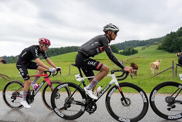 Etappensieger am Gaisberg, Isaac Del Toro (MEX, UAE Team Emirates - XRG), 3. Etappe, Tour of Austria