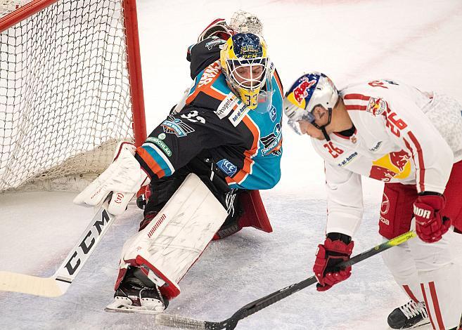 Tormann Luca Gracnar (Black Wings 1992), Peter Hochkofler (EC Red Bull Salzburg)  Black Wings Linz vs EC Red Bull Salzburg , Eishockey, Bet at Home ICE Hockey League