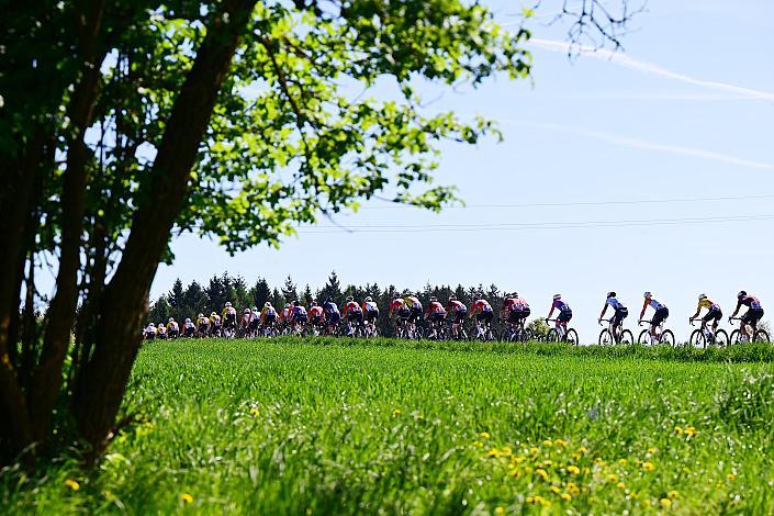 Herren Elite, U23, Road Cycling League Austria, 64. Raika Kirschbluetenrennen, Wels, Oberösterreich