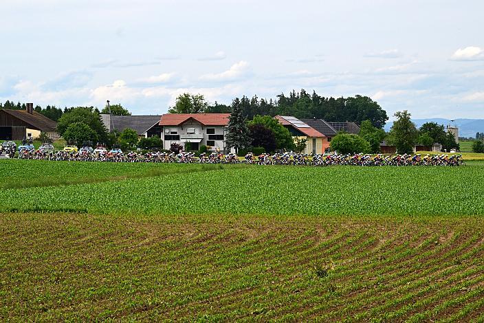 Das Peloton unterwegs im Traunviertel  3. Etappe Asten - Bad Schallerbach, Oberösterreich Rundfahrt