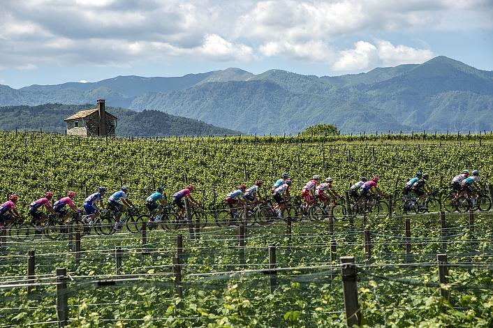 das Feld  mit Richard Carapaz (ECU, Movistar Team) in Valdobbadene, Giro, Giro d Italia, Radsport, 102. Giro d Italia - 19. Etappe