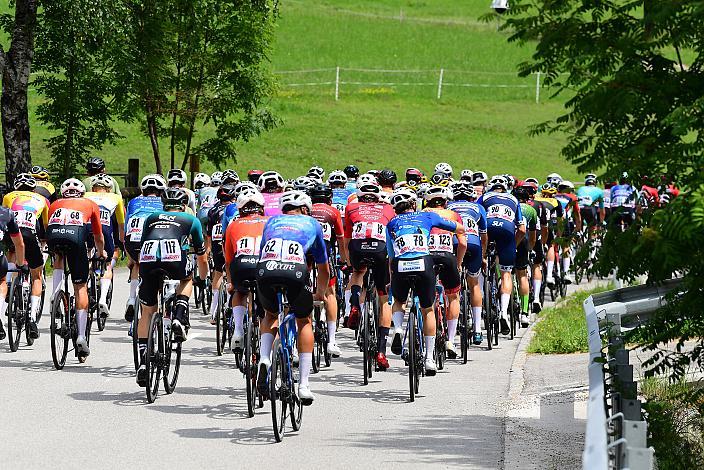 Das Peloton unterwegs in der Region Ybbstal, bei Hollenstein an der Ybbs, Drei Länder Meisterschaft U23,  Austria