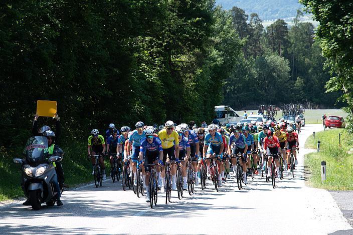 Das Peleton mit Timo Kielich (BEL, Alpecin-Deceuninck Development Team) im Gelben Trikot des Gesamtführenden im Anstieg Landshaag, 2. Etappe Wels - Bad Leonfelden, Int. Raiffeisen Oberösterreich Rundfahrt UCI Kat. 2.2