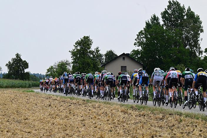 Das Peloton in der 3. Etappe,  51. Int. Oberösterreich Junioren Rundfahrt, Bad Wimsbach - Strass im Attergau