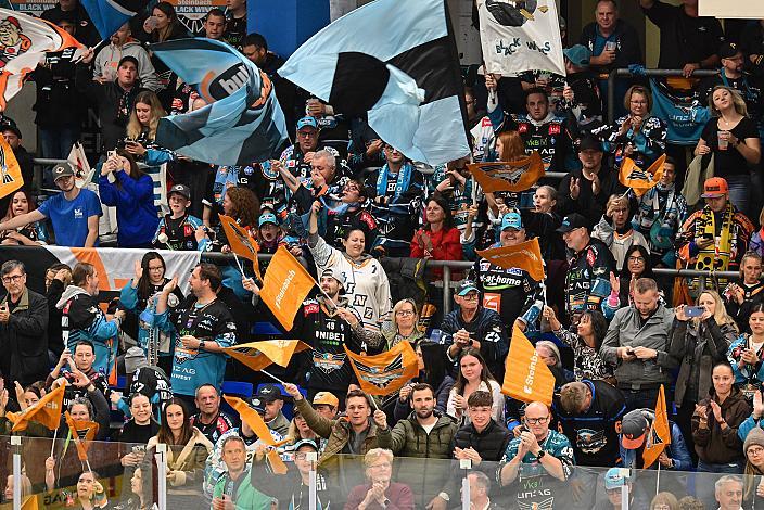 Fans 7. Runde ICE, Steinbach Black Wings Linz vs Moser Medical Graz 99ers, Linz AG Eisarena 
