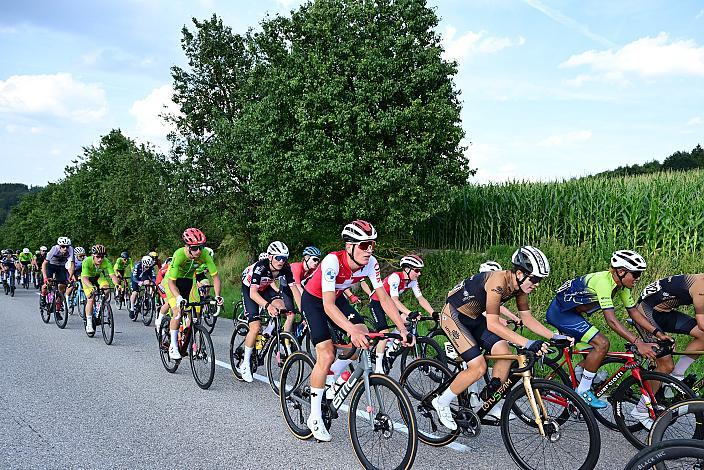 Das Peloton am Mistelbacher Berg, 1. Etappe Marchtrenk  - Marchtrenk, Int. Oberösterreichische Versicherung OÖ Junioren Oberösterreich Rundfahrt