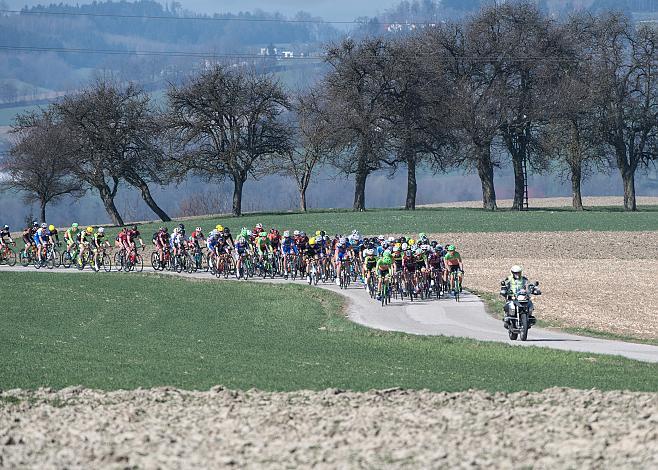 Das Hauptfeld beim Kirschbluetenrennen