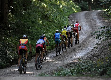 Eine Gruppe von Mountainbikern der Mediumdistanz am Weg Richtung Brunnbach.