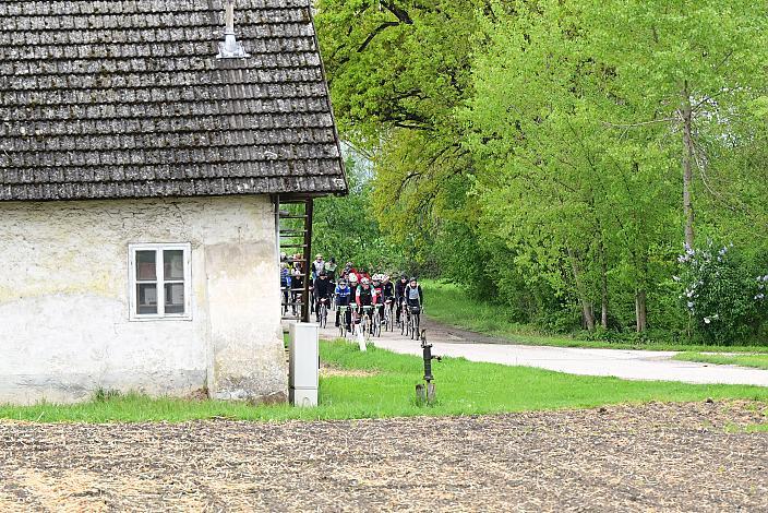 8. Kirschblüten Radklassik, Rad Klassik, Oldtimer, Vintage, Stahlrad, Radsport, Eferding, Oberösterreich