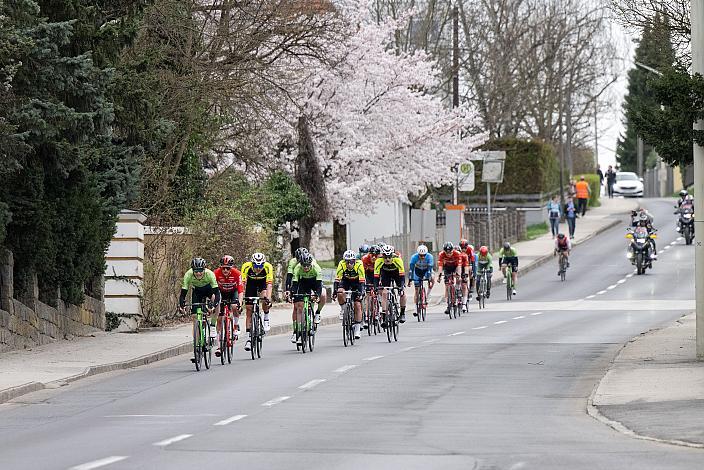 Das Peleton in Leonding Herren Elite, U23, Radliga, 62. Radsaison-Eröffnungsrennen Leonding, Oberösterreich 