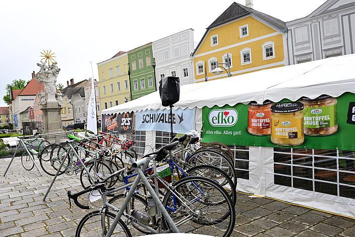 Rennrad, Frühling, Kirschblüten Radklassik, Oberösterreich, 