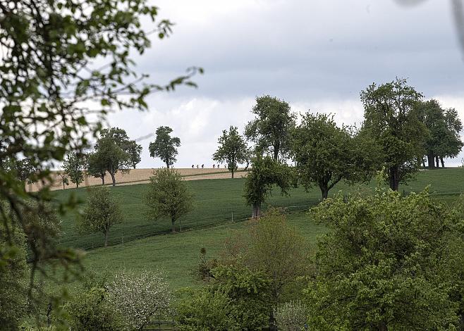 Das Feld der Fahrer bei St. Marienkirchen