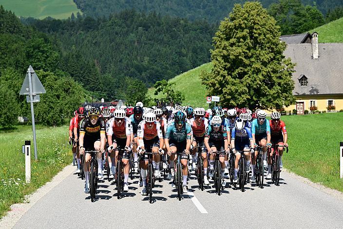 Das Peloton unterwegs in der Region Ybbstal, bei Hollenstein an der Ybbs, Vier Länder Meisterschaft U23,  Austria