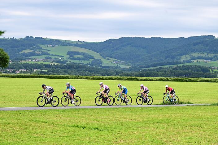 Im Trikot der besten Österreicherin Elisa Winter (AUT, Wheel Divas Cycling Team), , 07.06.2025 07.06.2025 Rad 2 Etappe Sportland NOE Kids Tour