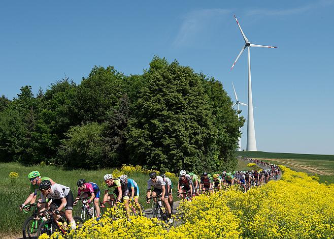  Das Feld bei Horitschon