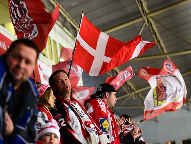 Fans des Hc Orli Znojmo, HC Orli Znojmo vs. EHC Liwest Black Wings Linz 5. Viertelfinale, Play-Off