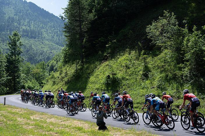 Das Peleton auf der Kripp ÖM Staatsmeisterschaft, Strasse, Waidhofen an der Ybbs - Hollenstein