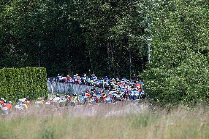 das Peleton bei Geinberg 1. Etappe Eferding - Geinberg, Int. Raiffeisen Oberösterreich Rundfahrt UCI Kat. 2.2