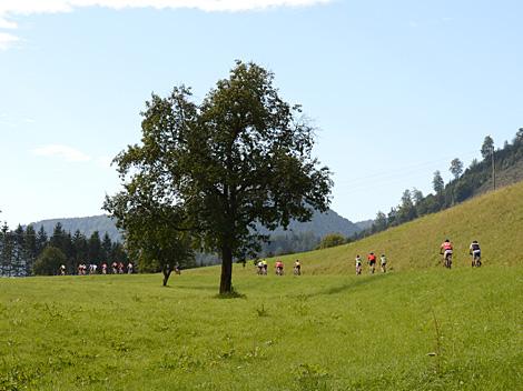 MTB Marathon Reichraming