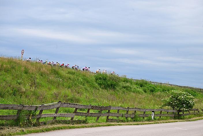 07.06.2025 07.06.2025 Rad 2 Etappe Sportland NOE WOMEN Tour