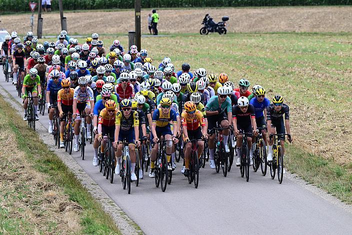 Das Peloton in der 3. Etappe,  51. Int. Oberösterreich Junioren Rundfahrt, Bad Wimsbach - Strass im Attergau