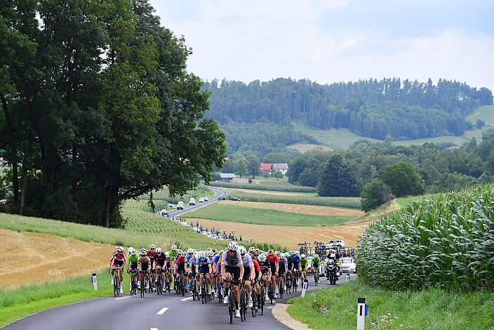 50. OÖ Junioren Rundfahrt, 3. Etappe Bad Wimsbach Strass im Attergau