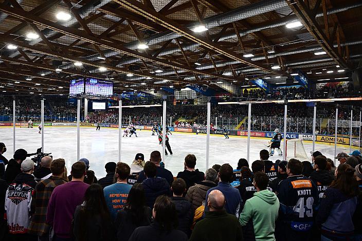 Semifinale 4, Win2Day ICE Hockey League, 4. Semifinale, Steinbach Black Wings Linz vs EC KAC,  Linz AG Eisarena 