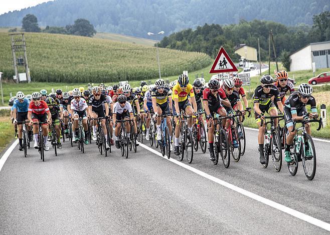 Das Feld bei Bachmanning mit Roel van Sintmaartensdijk (NED, Willebrord Wil Vooruit) 3. Etappe Bad Wimsbach - Gmundner Berg, OberÃ¶sterreich Junioren Rundfahrt