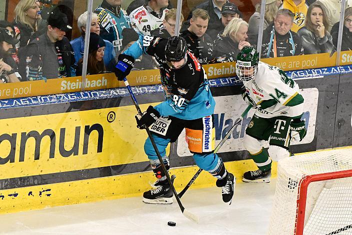 Julian Pusnik (Steinbach Black Wings Linz), David Molnar (FTC-Telekom), 17. Runde ICE, Steinbach Black Wings Linz vs Team Ferencvarosi Torna Club FTC-Telekom (HUN), Linz AG Eisarena 